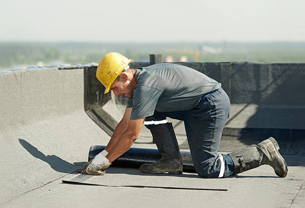 Best Fiberglass Insulation in Barneveld, WI